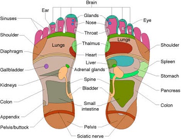 Reflexology in Murcia Spain  Mobile Reflexology Practitioner in Murcia